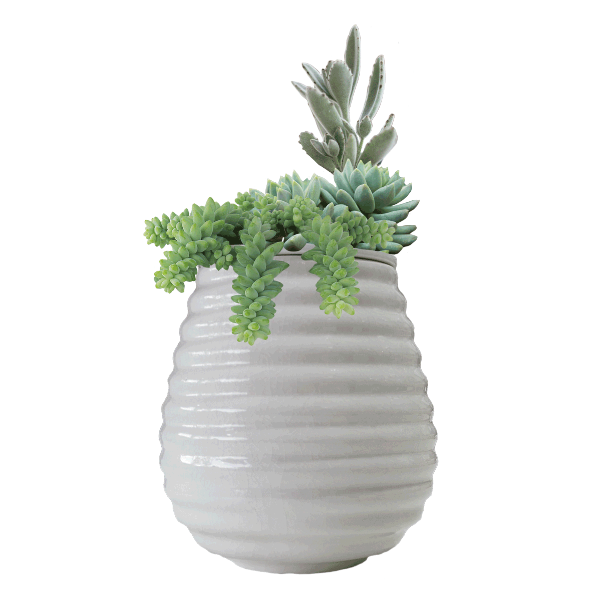 Eco Planter Craquelure ? Permanent