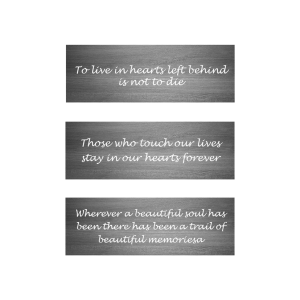 10? X 8? Frame Urn BLACK with Quote - Image 4