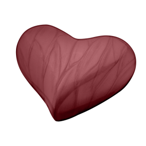 Blessings Crimson Heart