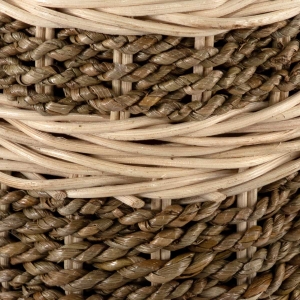 Seagrass (Dark) Scatter Tube - Large - Image 5