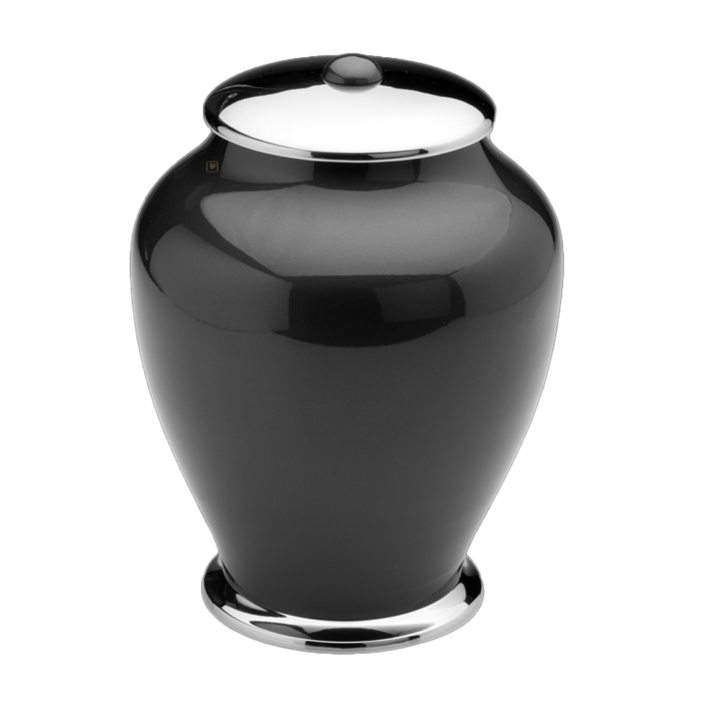 Simplicity Midnight Adult