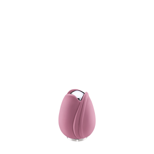 Tulip Pink Keepsake