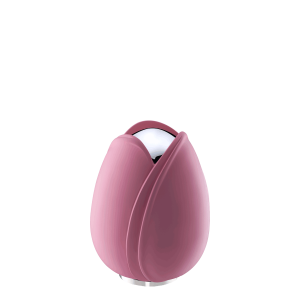 Tulip Pink Medium