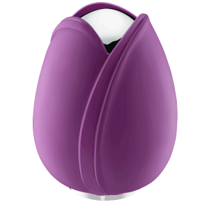 Tulip Purple Adult
