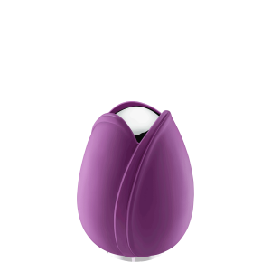 Tulip Purple Medium
