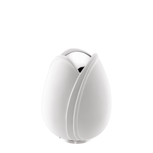 Tulip White Medium