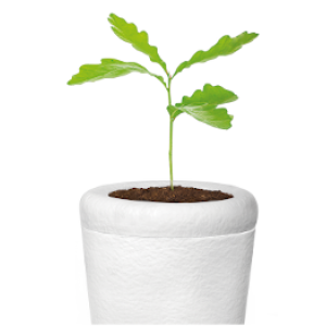 BIOS Cremation Urn - Image 2