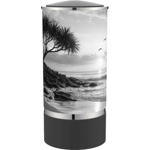 Cylinder Ocean Black / Gloss Pewter Adult
