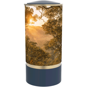 Cylinder Bushland Slate / Brushed Gold Adult